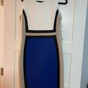 Calvin Klein beautiful dress size 12